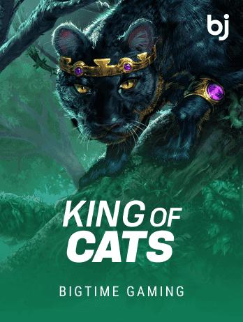 King of Catspng screenshot